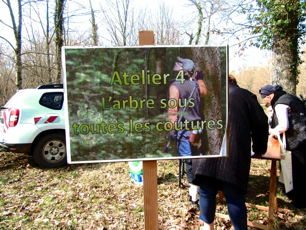 "Vis ma vie de forestier"