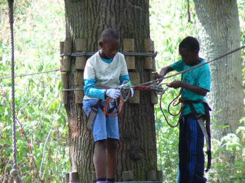 Une journée "accrobranche" enrichissante et inoubliable!