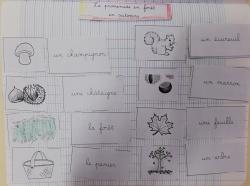 Le carnet de mots: un outil lexical pour la production d'écrits
