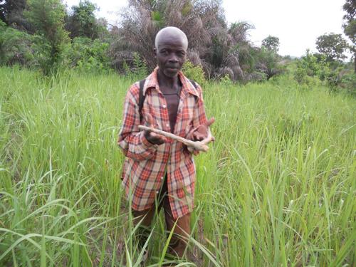 avril 2016 sur le terrain agricole