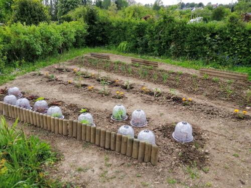 Le printemps s'installe peu à peu .....