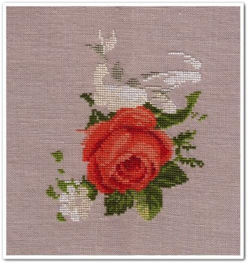 Roses and Lilies - 3