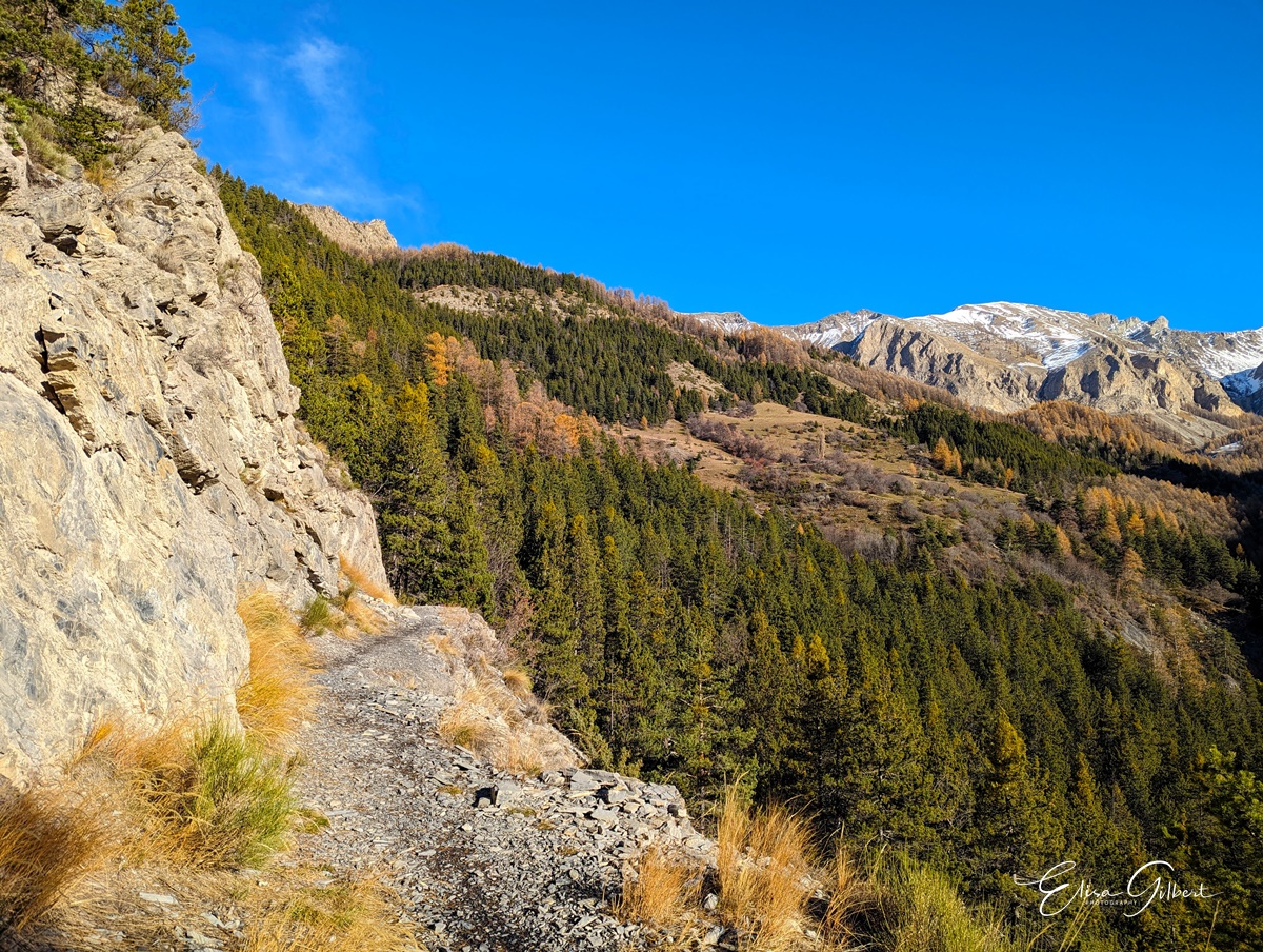 N°2 Clignon
