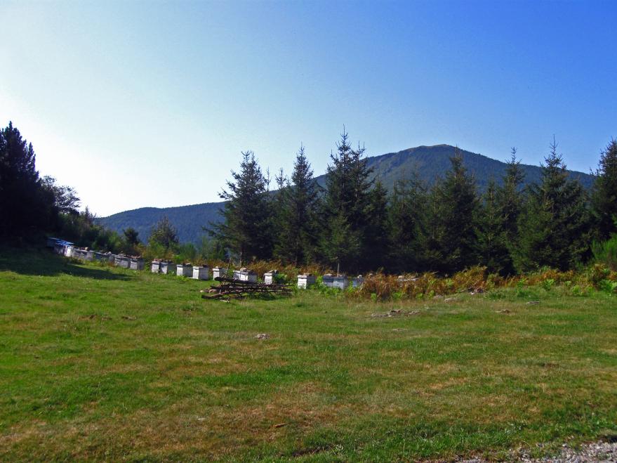 Sur les hauteurs d'une vallée âpre - Le Tour du Vallespir - Etape 2 : Batère - Saint-Guillem - 21 kms