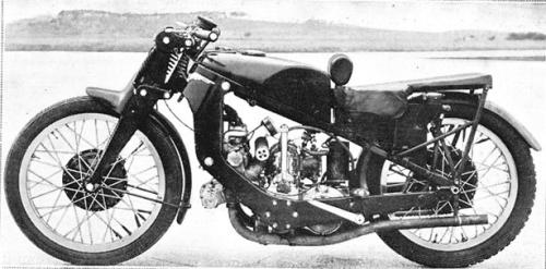 Les poissons jumeaux du "Renard argenté"