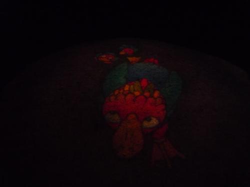 Nocturnes à Nantes : un château et un jardin illuminés