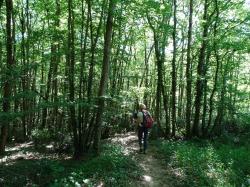 CR / RANDO 15 - RIONS - Lac de Laromet