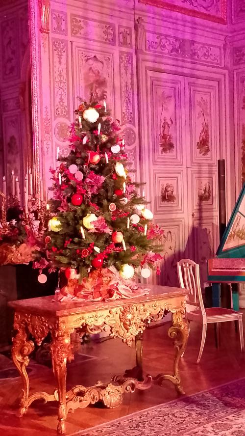 Le Noël des siècles au Château de Champs sur Marne (77)