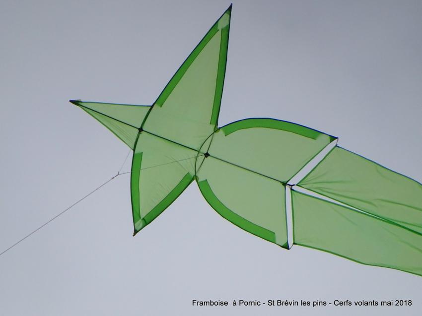 Les cerfs volants