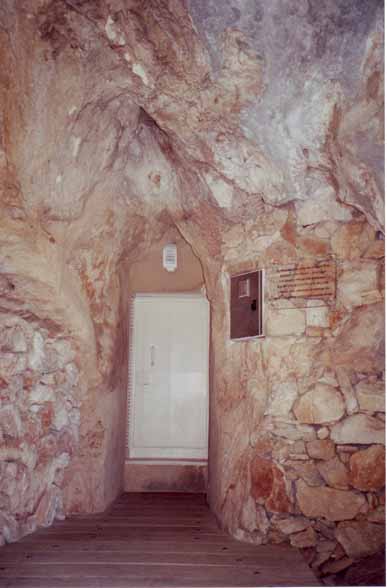 "La grotte Chauvet",une conférence des Amis du Musée