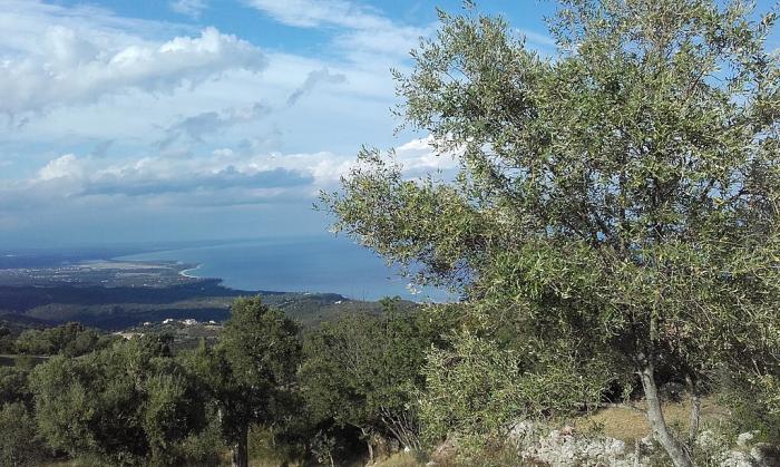 Département de la Corse  2ème partie