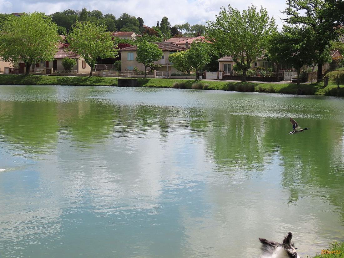une pause à Puylaurens