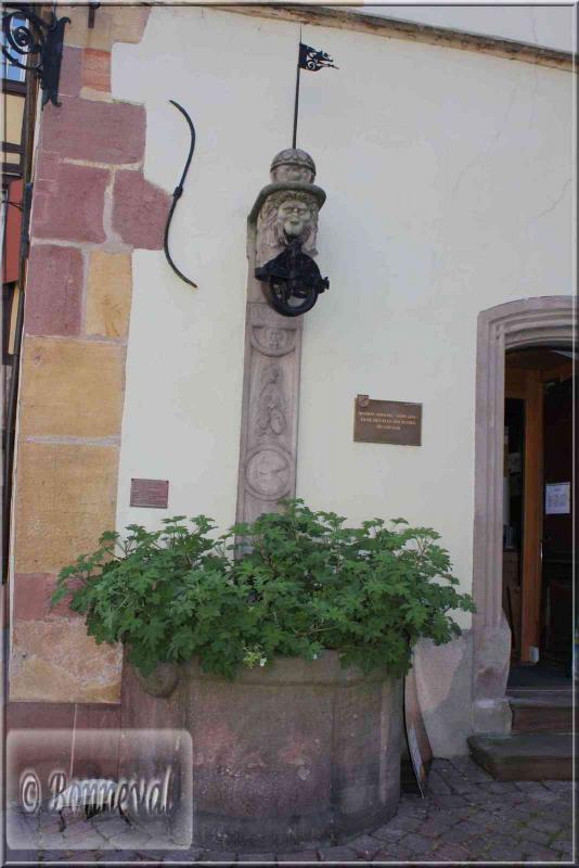 Alsace Haut-Rhin Colmar Maison Adolph le puits