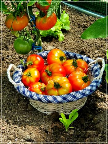 SCARPACCIA D'AUBERGINES,TOMATES AU ROMARIN