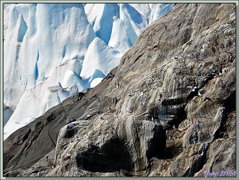 Glacier Sermitsiaq Sermia - Kangerlussuatsiaq Fjord (Evighedsfjorden) - Groenland