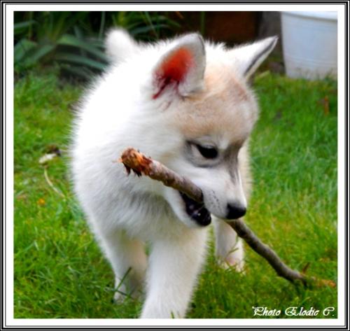 Eden (2,5 mois)