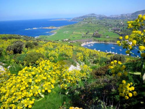 Le jardin de la Reine d'Ithaque