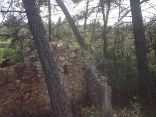 Grande ruine du Vallon aveugle à Aix