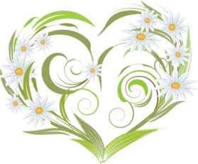 Les marguerites