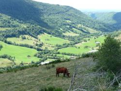 Lundi en une, deux , trois, quatre, ( et bien plus encore ) Photos !