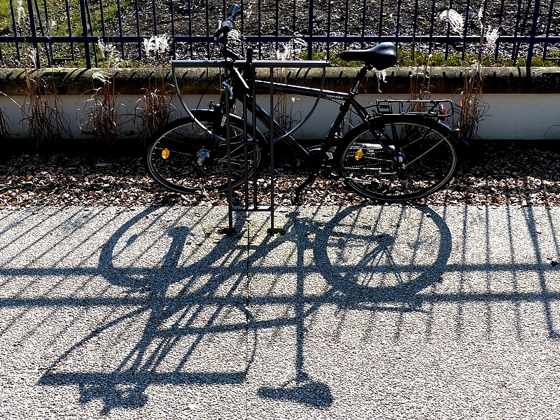 Metz vélos photos / 4...