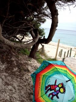 Corsica trip ! 