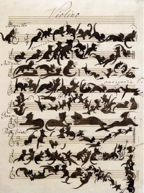 Symphonie du chat