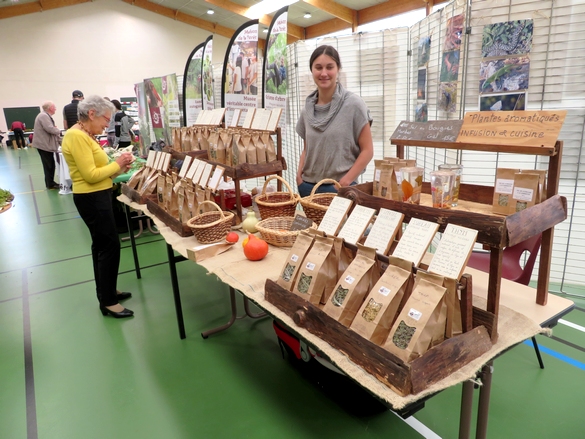 beaucoup d'artistes et artisans d'Art ont exposé au "salon des champignons" 2023 de la Société Mycologique du Châtillonnais