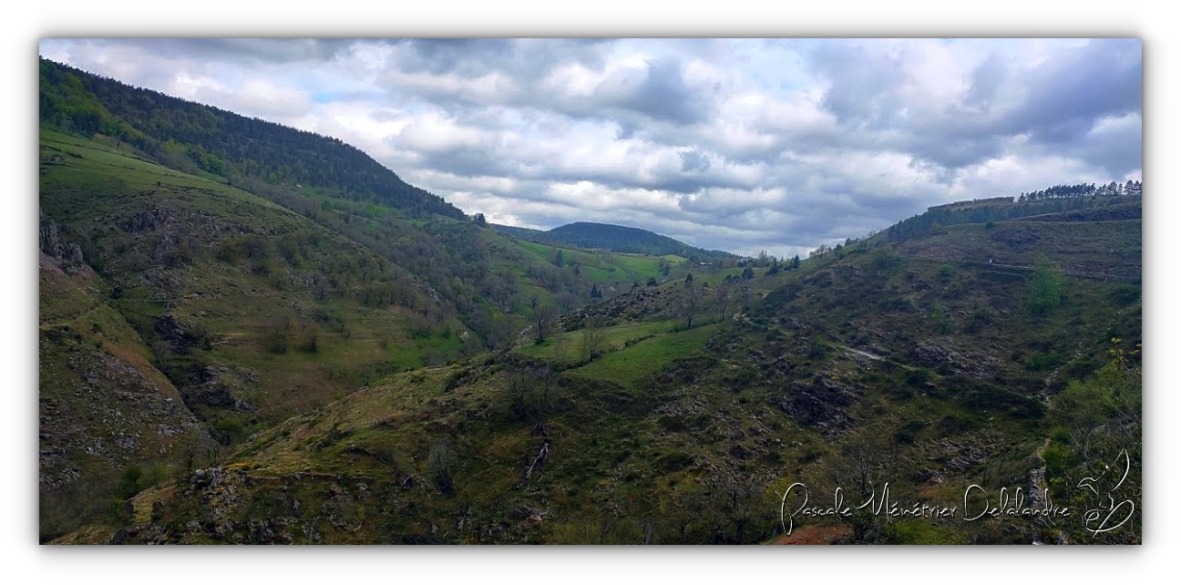 Dans le Parc National des Cévennes