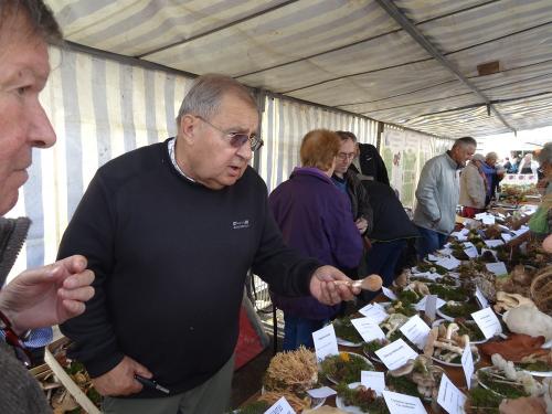 La fête de la pomme 2013 a eu lieu à Laignes !
