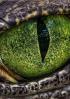 Regard_002.jpg