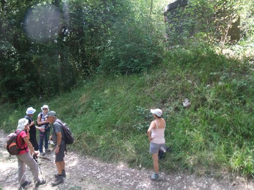 "Au-dessus du Tunnel" - Samedi 03 août 2019