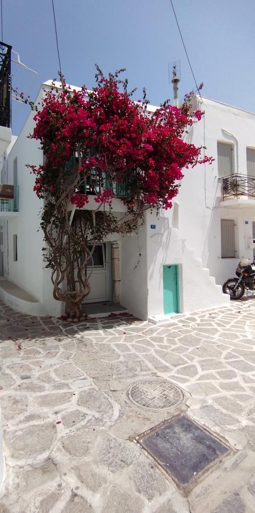 PAROS en couleurs !