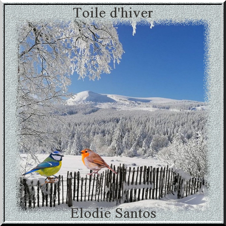 "Toile d'hiver"  poème d'Elodie Santos