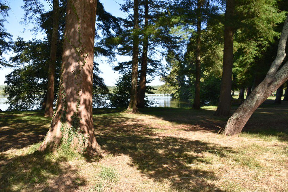 La Pointe des Vergnes, à Soustons...