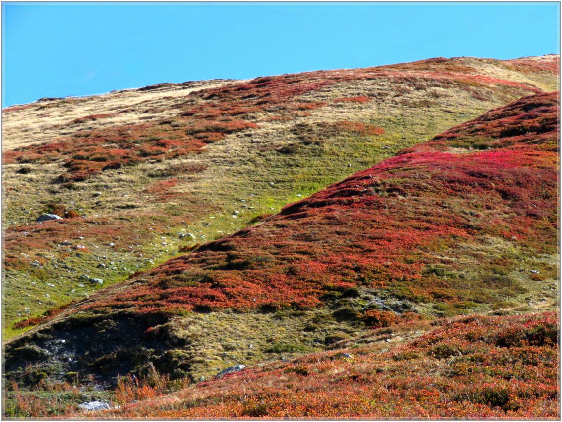 BALADE  D'AUTOMNE  2023