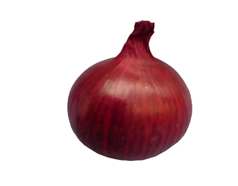 Vertus Médicinales des légumes et des fruits : OIGNON