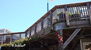 Dsc00212bmarq