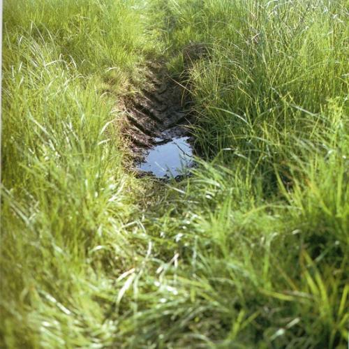 Chanter les couleurs de la terre