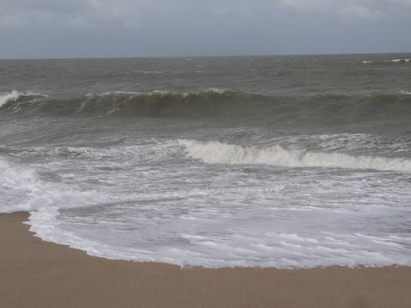 Les vagues de la mer