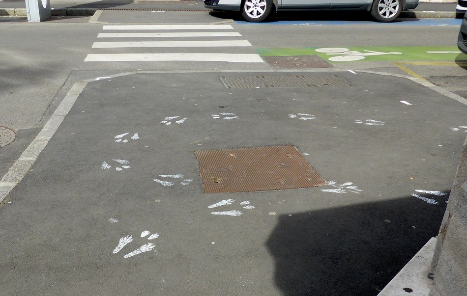 Je l'ai trouvé ... le lapin blanc ! 