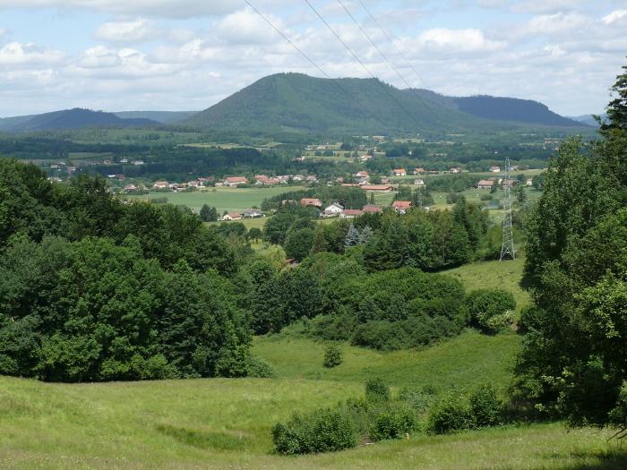Département des Vosges