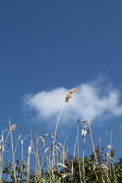 Retour de l'Aber (8)