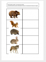 Les animaux de la forêt