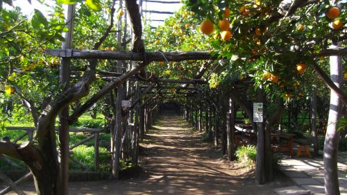 Première journée à Sorrento