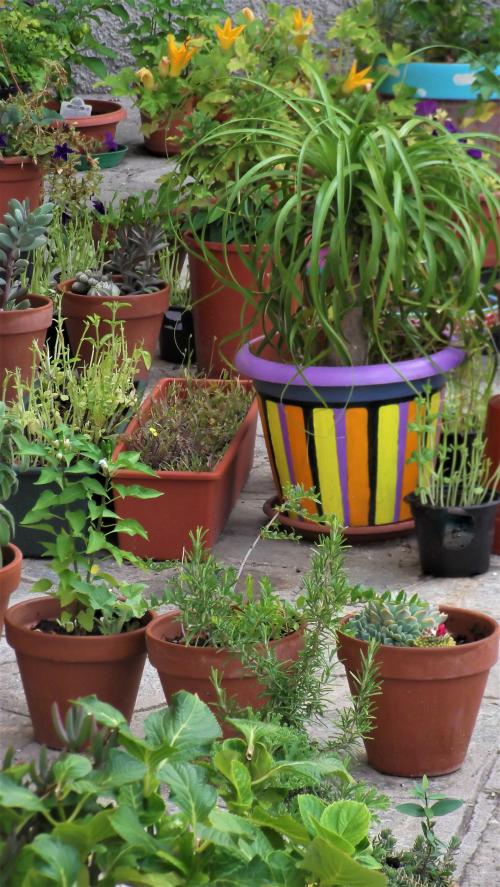 8- Escale à IMPERIA