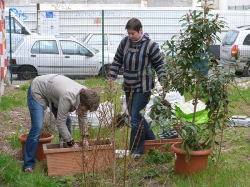 Et déjà beaucoup de belles plantes...