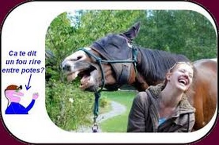 Il n'y a rien de mieux qu'une bonne page d'humour pour tous.