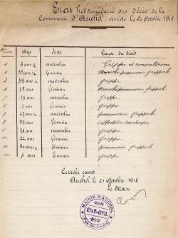 La grippe espagnole 1918/1919