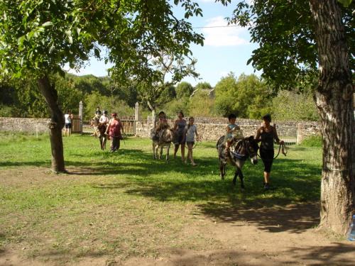 PHOTO A DOS D'ANE 10 SEPT 2014  N°2